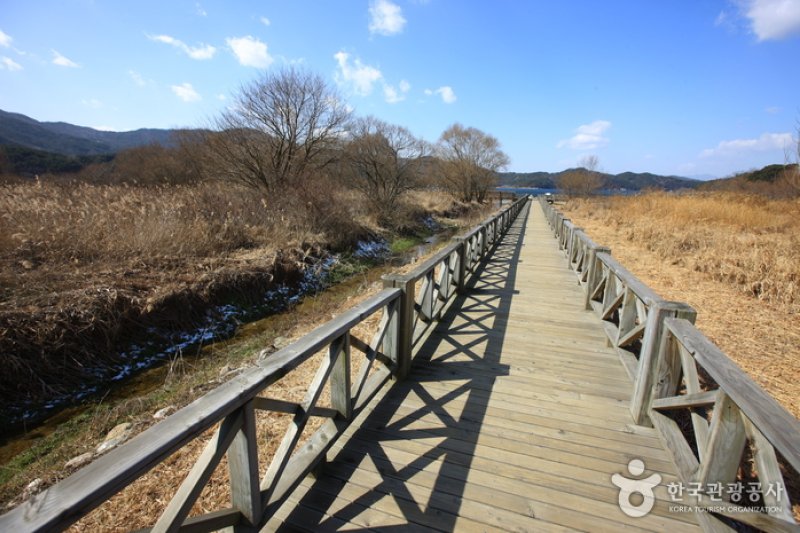 Gwangjuho Lake Eco Park (광주호 호수생태원) (3/20)
