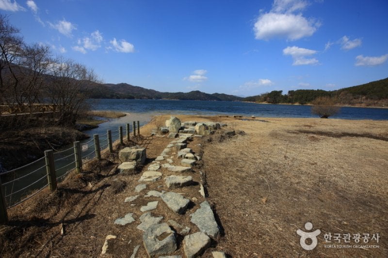Gwangjuho Lake Eco Park (광주호 호수생태원) (4/20)