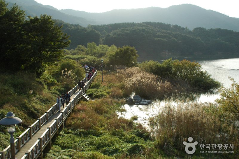 Gwangjuho Lake Eco Park (광주호 호수생태원) (7/20)