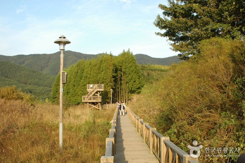 Gwangjuho Lake Eco Park (광주호 호수생태원) (8/20)