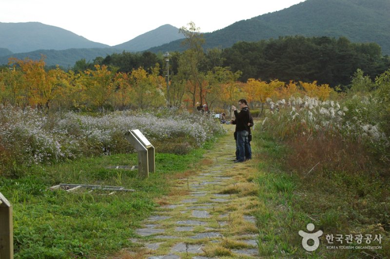 Gwangjuho Lake Eco Park (광주호 호수생태원) (10/20)