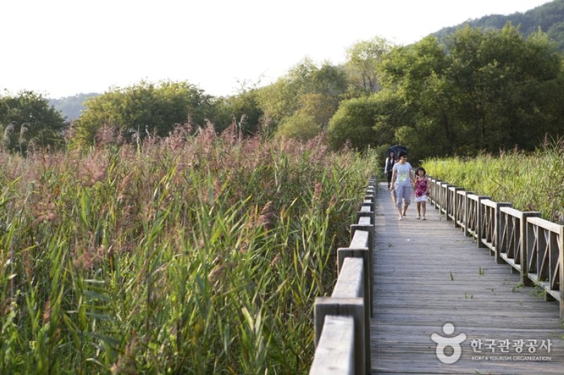 Gwangjuho Lake Eco Park (광주호 호수생태원) (12/20)
