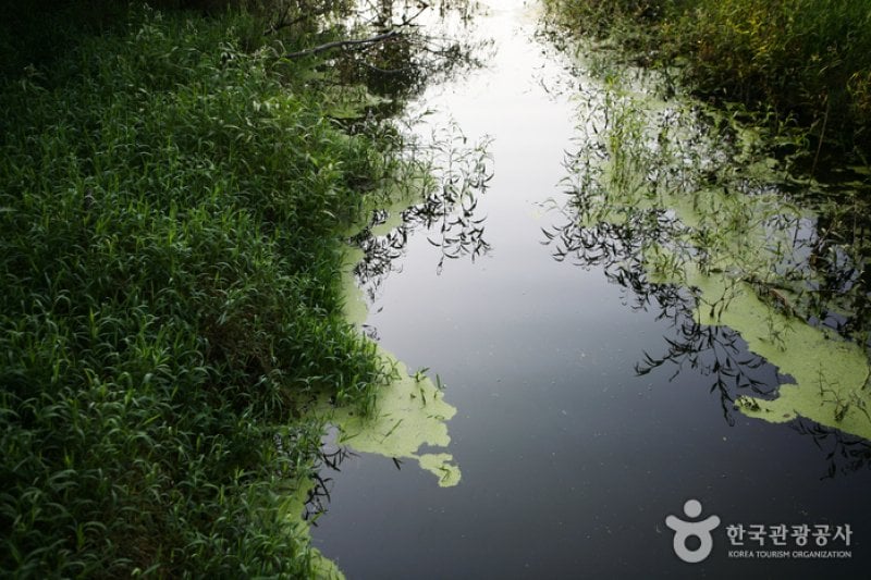Gwangjuho Lake Eco Park (광주호 호수생태원) (13/20)