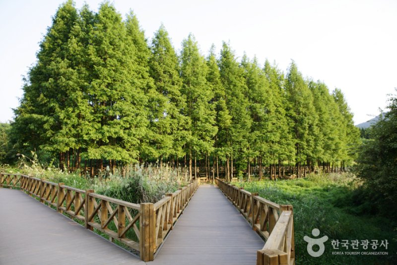 Gwangjuho Lake Eco Park (광주호 호수생태원) (14/20)