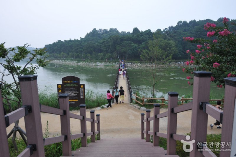 Pungam Reservoir (풍암저수지) (2/5)