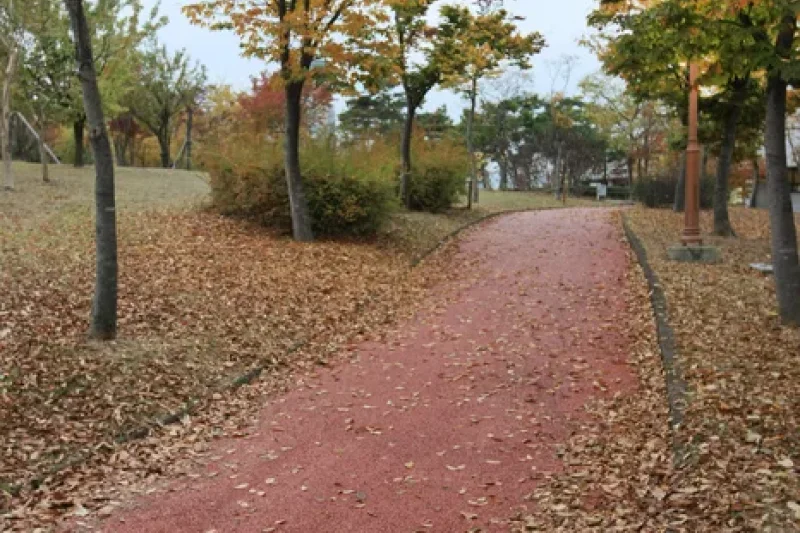 5·18 Memorial Park  (1/38)