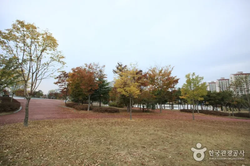 5·18 Memorial Park  (3/38)