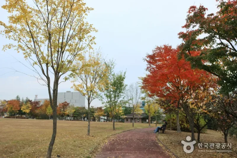 5·18 Memorial Park  (4/38)