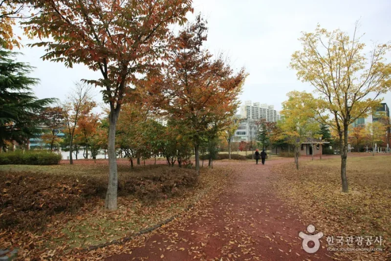 5·18 Memorial Park  (15/38)