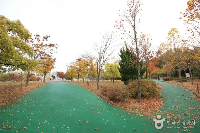 5·18 Memorial Park  (23/38)