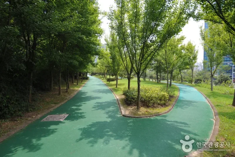5·18 Memorial Park  (33/38)
