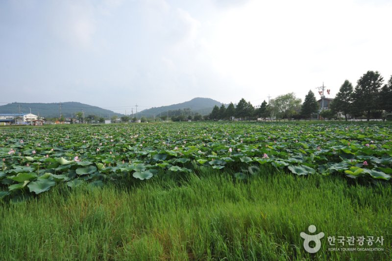 Jeonpyeongje Reservoir (전평제) (1/6)