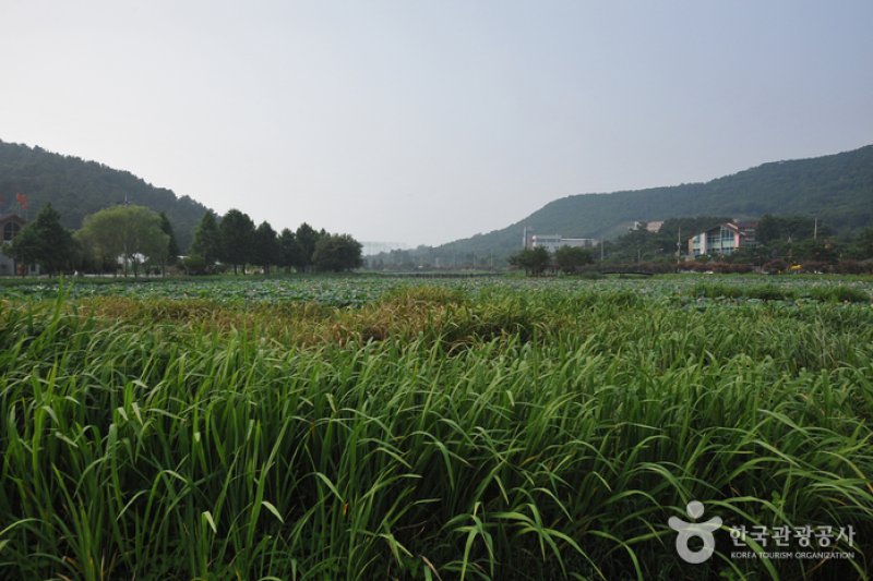 Jeonpyeongje Reservoir (전평제) (4/6)