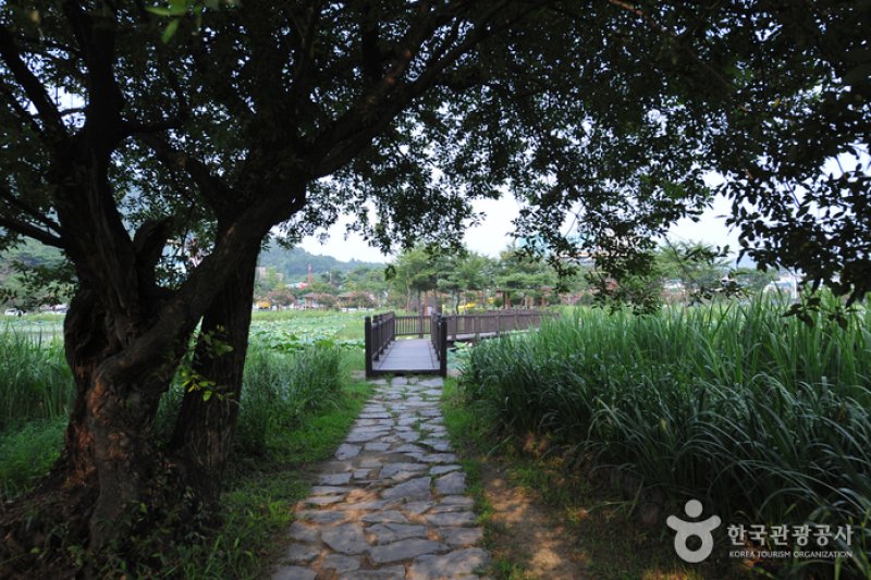 Jeonpyeongje Reservoir (전평제) (5/6)
