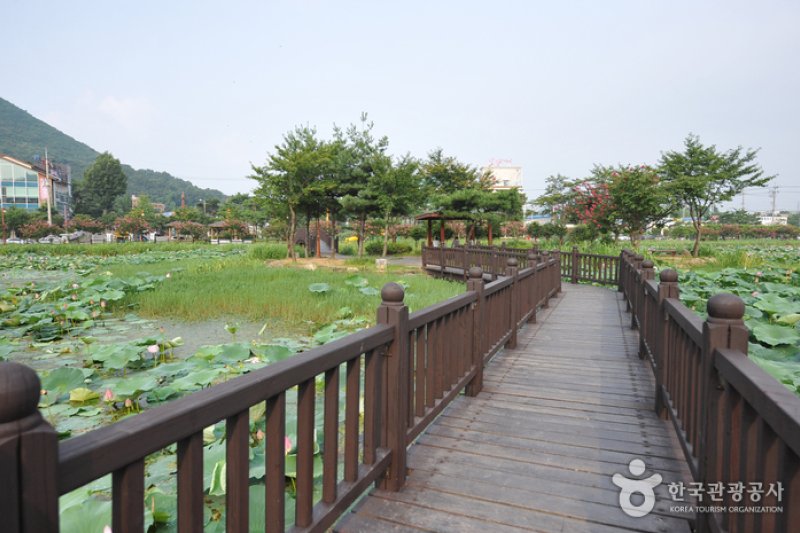 Jeonpyeongje Reservoir (전평제) (6/6)