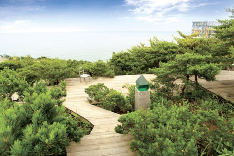 Haslla Art World (하슬라아트월드) (4/26)
