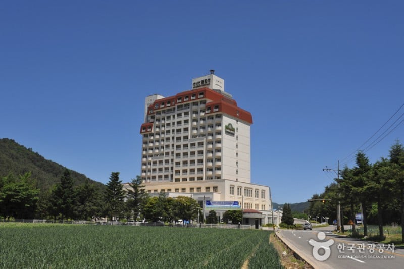 The Kensington Flora Hotel  (1/9)