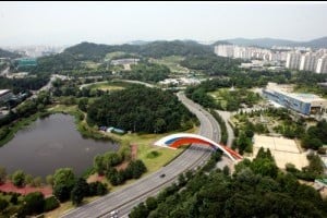 Jungoe Park Culture Belt 