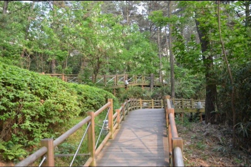Jungoe Park Culture Belt  (6/14)