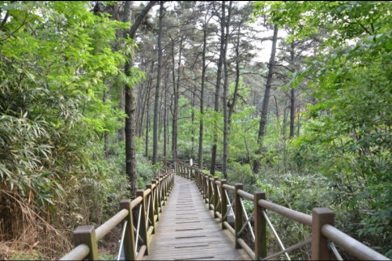 Jungoe Park Culture Belt  (7/14)