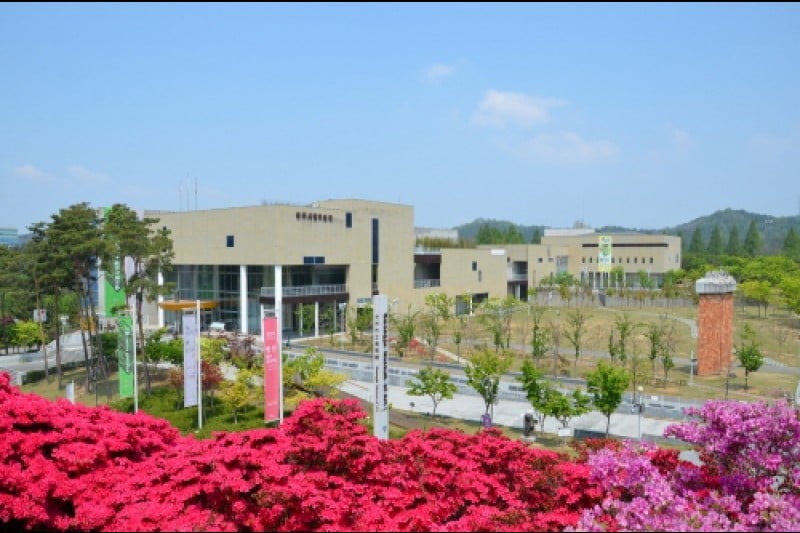 Jungoe Park Culture Belt  (12/14)