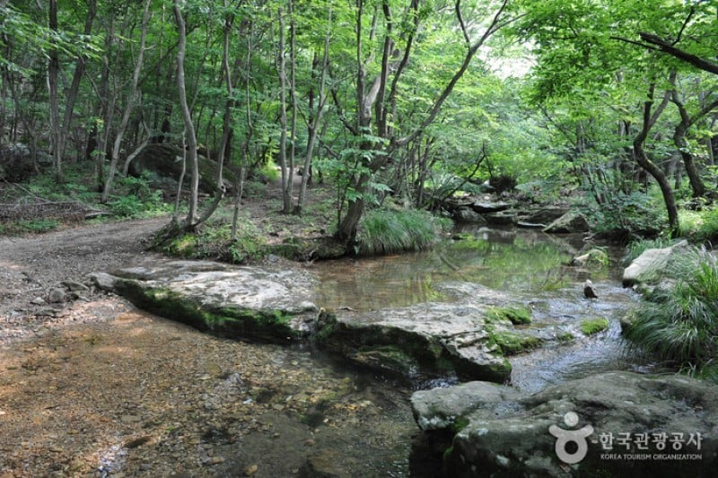 Dosol Valley  (6/8)