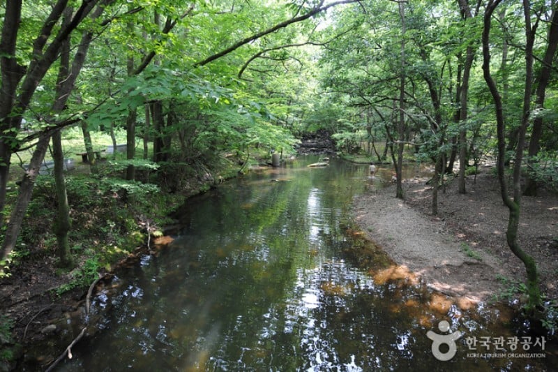 Dosol Valley  (8/8)