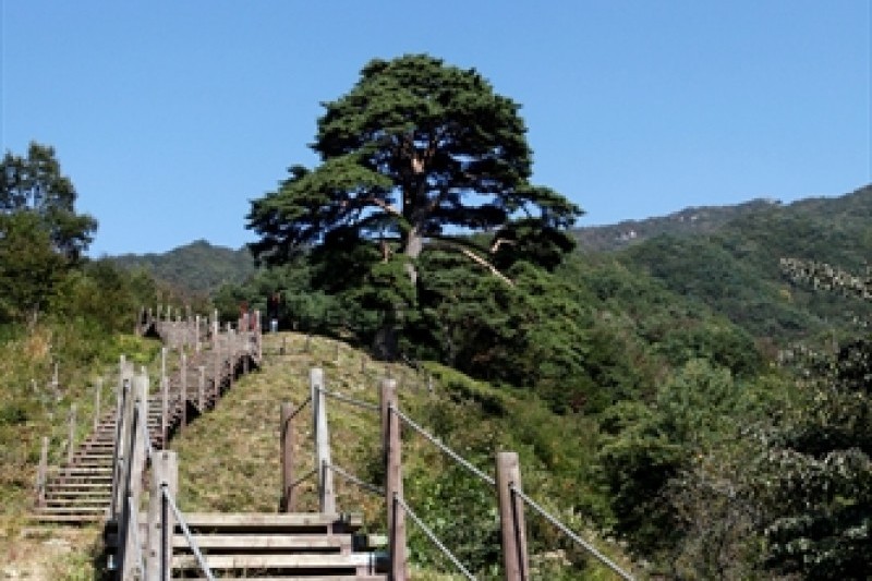 Jirisan National Park  (1/2)