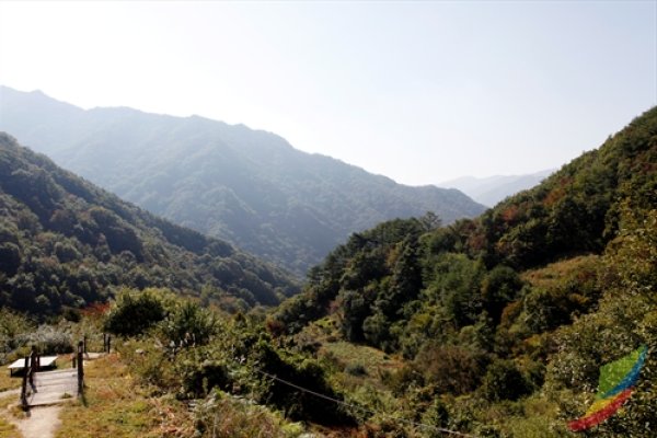 Jirisan National Park