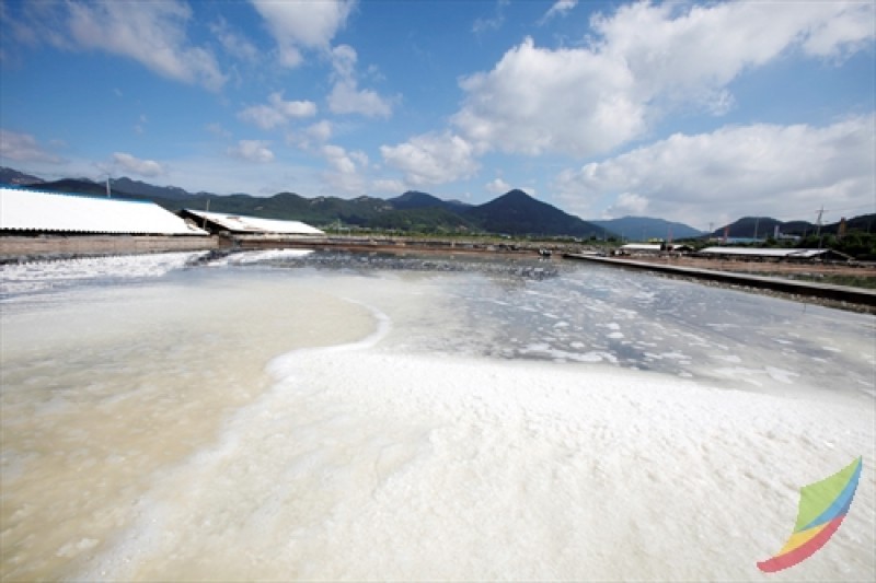 Gomso Salt Field  (1/7)