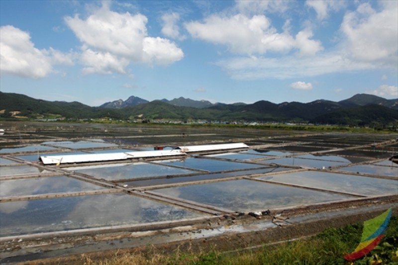 Gomso Salt Field  (2/7)