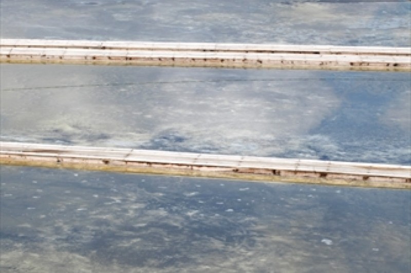 Gomso Salt Field  (5/7)