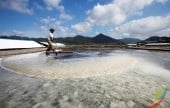 Gomso Salt Field 