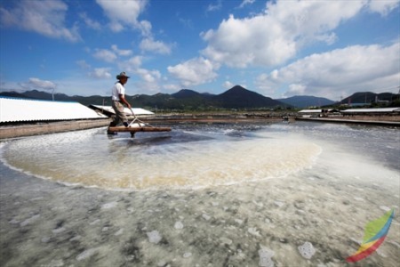 Gomso Salt Field 