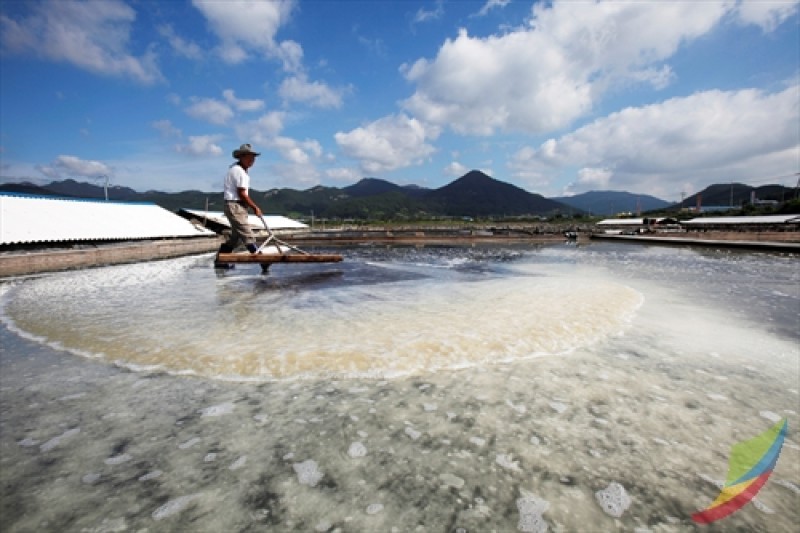 Gomso Salt Field  (6/7)