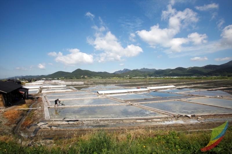 Gomso Salt Field  (7/7)