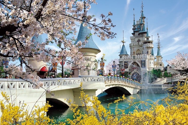 Lotte World Daily Pass Discount Ticket (32/64)