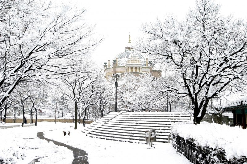 Lotte World Daily Pass Discount Ticket (38/64)