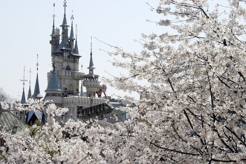 Lotte World Daily Pass Discount Ticket (43/64)