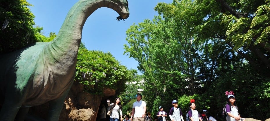 Everland Daily Pass Discount Ticket (11/51)