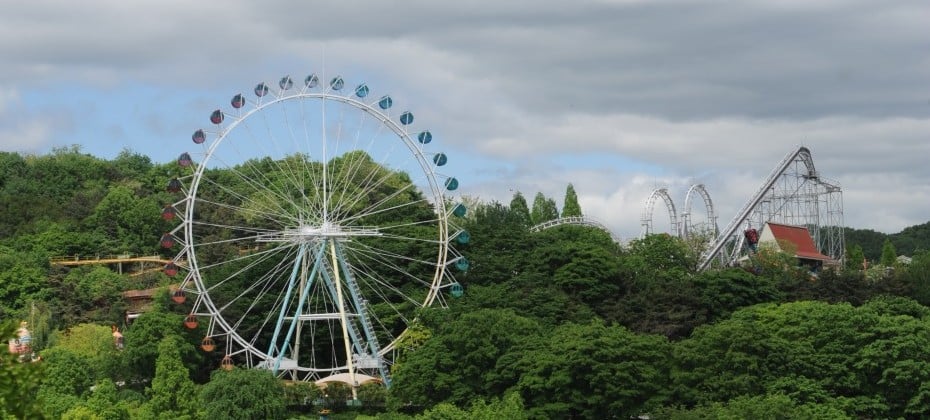 Everland Daily Pass Discount Ticket (15/51)