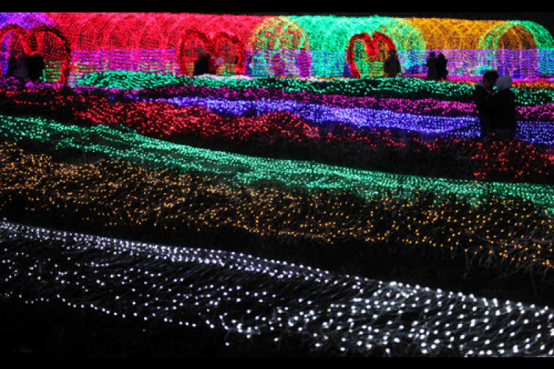 Herb Island Light Festival - Lighting &amp; Illumination (허브아일랜드 불빛동화축제 - 라이팅&amp;일루미네이션) (2/20)