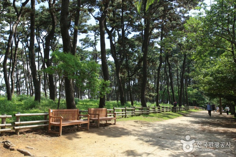 Daewangam Park  (2/58)