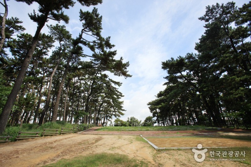 Daewangam Park  (3/58)