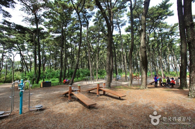 Daewangam Park  (4/58)