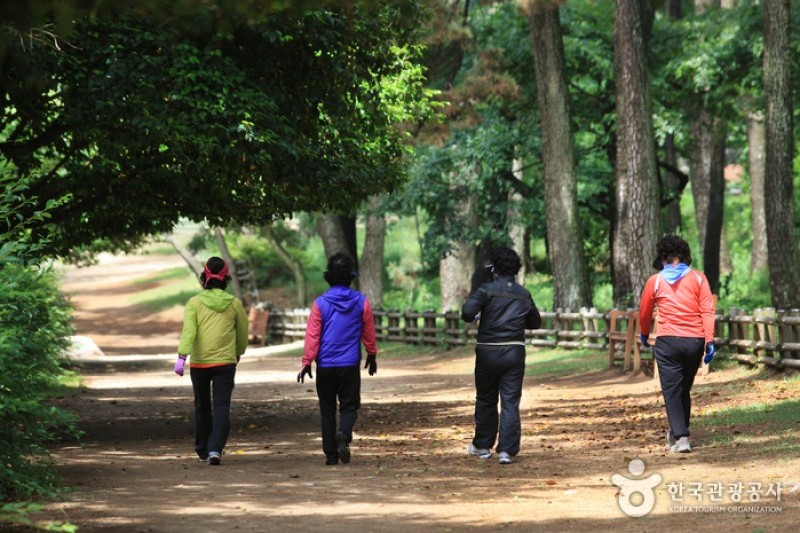 Daewangam Park  (5/58)