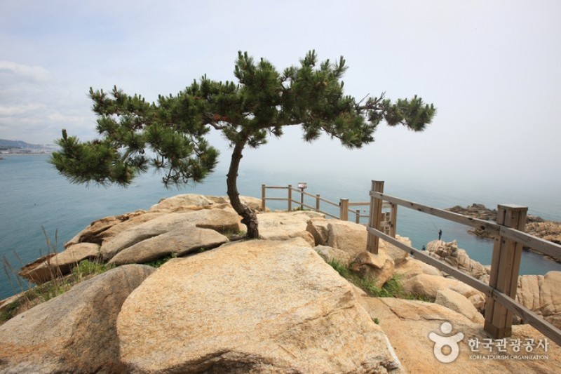 Daewangam Park  (27/58)