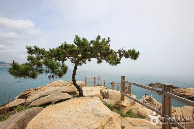 Daewangam Park  (30/58)