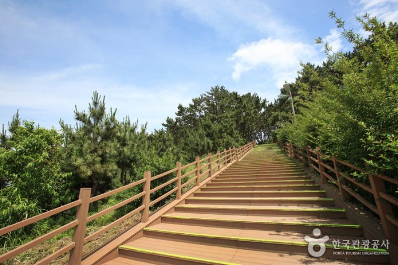 Daewangam Park  (37/58)