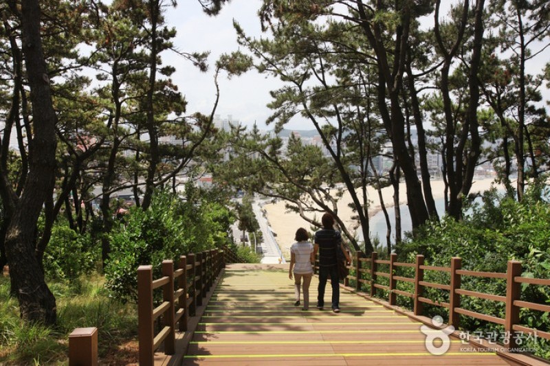 Daewangam Park  (38/58)